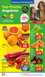 Gazetka promocyjna Lidl - Aktionsprospekt - Gazetka - ważna od 23.03 do 23.03.2024 - strona 50 - produkty: angebot, angebote, bio, coupon, eis, elle, grapefruit, ndk, orange, orangen, paprika, pflaume, pflaumen, reis, Schal, Schale, Spitzpaprika, Ti, trauben