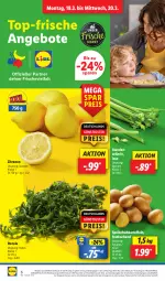 Gazetka promocyjna Lidl - Aktionsprospekt - Gazetka - ważna od 23.03 do 23.03.2024 - strona 6 - produkty: angebot, angebote, cola, coupon, discount, eis, elle, frucht, Frühkartoffeln, kartoffel, kartoffeln, magazin, obst, pril, reis, rucola, speisefrühkartoffeln, stauden, Ti, und gemüse, zitrone, zitronen