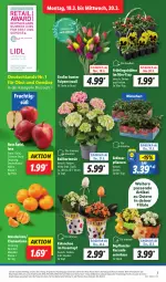 Gazetka promocyjna Lidl - Aktionsprospekt - Gazetka - ważna od 23.03 do 23.03.2024 - strona 7 - produkty: Abtei, angebot, ball, clementinen, discount, eis, Erdbeerpflanze, frucht, hortensie, Kalanchoe, mandarine, mandarinen, obst, Obst und Gemüse, pflanze, pflanzen, reis, Ti, topf, und gemüse, Vase, ZTE