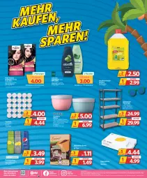 Gazetka promocyjna Combi - Prospekte - Gazetka - ważna od 29.07 do 29.07.2023 - strona 2 - produkty: auer, Colorationen, creme, decke, Deckel, dekoration, din a4, Eckregal, eis, elle, flasche, gefrierfach, getränk, getränke, getränkesirup, kaffee, kopierpapier, kraft, LG, mikrowelle, Palette, papier, Rauch, regal, reiniger, reis, schauma, schauma shampoo, Scheibenreiniger, Schleich, shampoo, shampoo oder spülung, sirup, snack, spülmaschinen, spülung, steckregal, tee, Teelicht, teelichte, Ti, ZTE