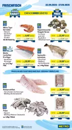 Gazetka promocyjna Metro - Wochen-Angebote Gastro - Gazetka - ważna od 27.09 do 27.09.2025 - strona 5 - produkty: Abtei, angebot, angebote, aqua, aust, beef, eis, entrecôte, filet, fisch, fischtheke, fleisch, frischfisch, garnelen, lachs, lachsfilet, Metro, rind, rinder, rinderfilet, roastbeef, Rotbarsch, rotbarschfilet, rwe, steak, steakhüfte, teppich, Ti, Wild