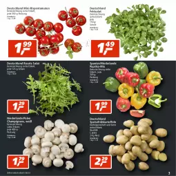 Gazetka promocyjna Real - Gazetka - ważna od 23.07 do 23.07.2022 - strona 3 - produkty: champignon, champignons, cola, eis, feldsalat, Frühkartoffeln, kartoffel, kartoffeln, mini-rispentomaten, paprika, reis, rispentomaten, rucola, salat, Schal, Schale, speisefrühkartoffeln, Ti, tomate, tomaten