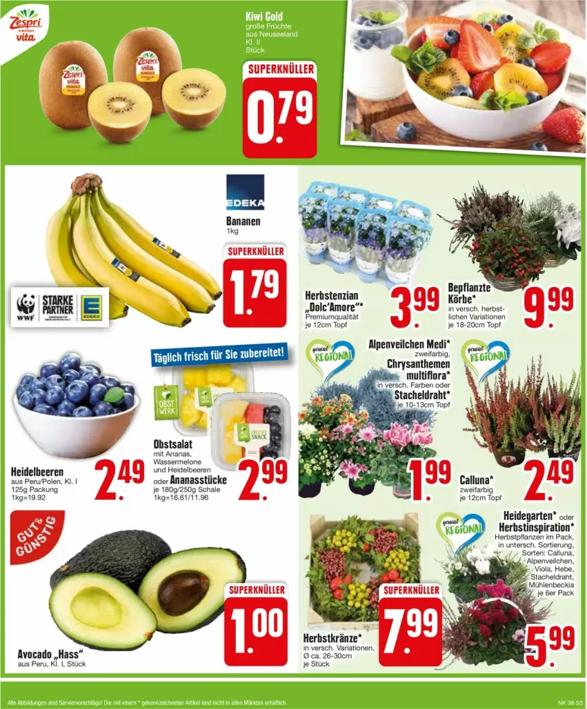 Aktueller Prospekt Edeka - Prospekte - von 16.09 bis 21.09.2024 - strona 3 - produkty: Alpenveilchen, ananas, Ananasstücke, avocado, banane, bananen, beere, beeren, chrysanthemen, Draht, Garten, heidelbeere, heidelbeeren, melone, obst, pflanze, pflanzen, Ria, salat, Schal, Schale, Ti, topf, wasser, wassermelone