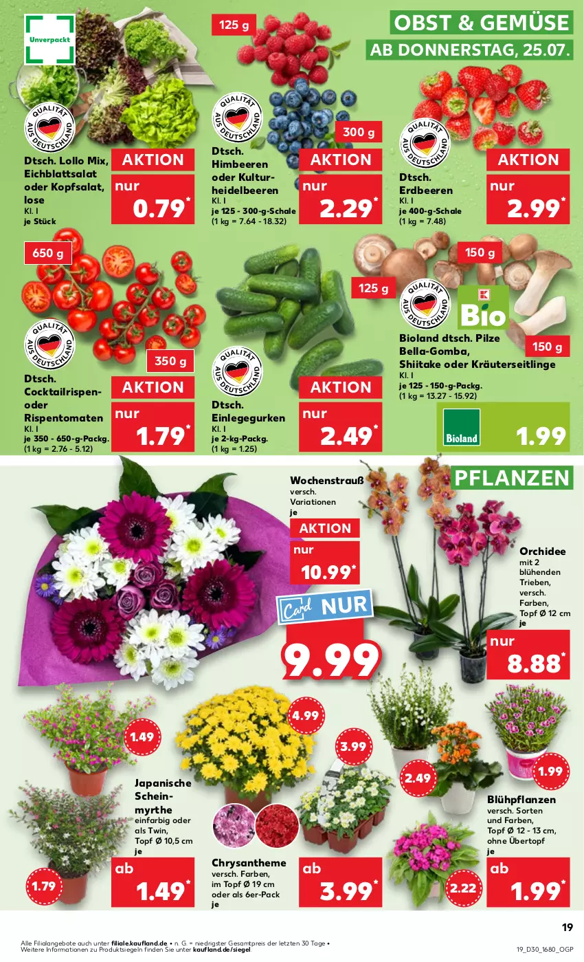 Aktueller Prospekt Kaufland - Prospekt - von 25.07 bis 31.07.2024 - strona 19 - produkty: angebot, angebote, beere, beeren, bio, bioland, cocktail, Eichblattsalat, eis, erdbeere, erdbeeren, gurke, gurken, heidelbeere, heidelbeeren, himbeer, himbeere, himbeeren, kopfsalat, kräuter, Kräuterseitlinge, obst, oder kräuter, orchidee, pflanze, pflanzen, pilze, reis, Ria, rispentomaten, salat, Schal, Schale, Ti, tomate, tomaten, topf, topf ø 12 cm, übertopf, ZTE