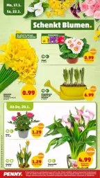 Gazetka promocyjna Penny - Prospekte - Gazetka - ważna od 22.01 do 22.01.2022 - strona 24 - produkty: arla, eis, elle, Gießkanne, LG, Narzissen, reis, Ti, ZTE