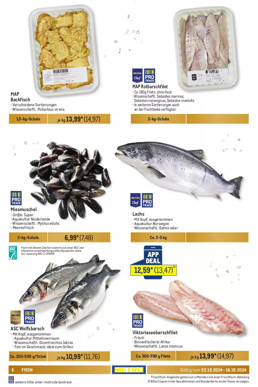 Aktueller Prospekt Metro - GastroJournal - von 02.10 bis 16.10.2024 - strona 6 - produkty: Abtei, angebot, angebote, aqua, backfisch, coupon, ente, filet, filets, fisch, fische, Fischer, fischtheke, frischfisch, grill, ideal zum grillen, lachs, mac, Metro, Ria, Rotbarsch, rotbarschfilet, rwe, Schal, Schale, Schere, Ti, wolfsbarsch