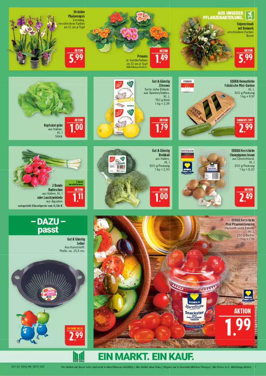 Aktueller Prospekt Marktkauf - Prospekt - von 11.01 bis 17.01.2026 - strona 7 - produkty: Becher, braun, brokkoli, champignon, champignons, champignons braun, deka, discount, eis, gurke, gurken, kopfsalat, Lauchzwiebel, lauchzwiebeln, mini-gurken, orchidee, phalaenopsis, radieschen, reis, salat, Ti, topf, zitrone, zitronen, zwiebel, zwiebeln