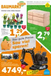 Gazetka promocyjna  - Gazetka - ważna od 07.02 do 07.02.2026 - strona 1 - produkty: aust, Bau, Brei, briketts, elle, ente, Garten, Holz, Holzbriketts, Narzissen, Ti, topf, trauben, zwiebel
