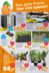 Gazetka promocyjna  - Gazetka - ważna od 07.02 do 07.02.2026 - strona 6 - produkty: Bau, Bodenplatte, Bona, Carport, eis, Holz, HP, latte, Liege, Mode, natur, rum, Tasche, Teleskop, Ti, topf, tragetasche