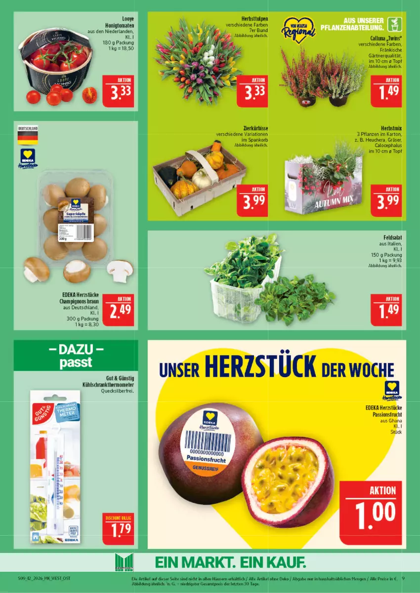 Aktueller Prospekt Marktkauf - Prospekt - von 11.10 bis 17.10.2026 - strona 9 - produkty: braun, champignon, champignons, champignons braun, deka, eis, feldsalat, frucht, Heu, honig, Honigtomaten, korb, kühlschrank, Kürbis, passionsfrucht, pflanze, pflanzen, reis, Ria, salat, Schrank, thermometer, Ti, tomate, tomaten, topf, ZTE