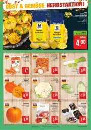 Gazetka promocyjna Marktkauf - Prospekt - Gazetka - ważna od 17.10 do 17.10.2026 - strona 10 - produkty: blume, blumen, blumenkohl, eis, kartoffel, kartoffeln, korb, Kürbis, mehl, möhren, reis, sac, speisekartoffeln, Speisezwiebeln, spitzkohl, tafeläpfel, Ti, Tiere, uhr, ZTE, zwiebel, zwiebeln