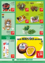 Gazetka promocyjna Marktkauf - Prospekt - Gazetka - ważna od 17.10 do 17.10.2026 - strona 9 - produkty: braun, champignon, champignons, champignons braun, deka, eis, feldsalat, frucht, Heu, honig, Honigtomaten, korb, kühlschrank, Kürbis, passionsfrucht, pflanze, pflanzen, reis, Ria, salat, Schrank, thermometer, Ti, tomate, tomaten, topf, ZTE