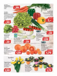 Gazetka promocyjna Feneberg - Prospekte - Gazetka - ważna od 15.01 do 15.01.2022 - strona 6 - produkty: auer, Bau, beutel, bio, Blutorange, brot, Bundmöhren, dauertiefpreis, eintöpfe, eis, elle, fisch, fleisch, garnier, Käse, kräuter, latte, Lauchzwiebel, lauchzwiebeln, mac, mandarine, mandarinen, möhren, orange, orangen, paprika, paprika mix, quark, radieschen, reis, rispentomaten, saft, salat, salate, sauce, saucen, Schal, Schale, suppe, suppen, Ti, tiefpreis, tisch, tomate, tomaten, topf, Vase, wasser, zwiebel, zwiebeln