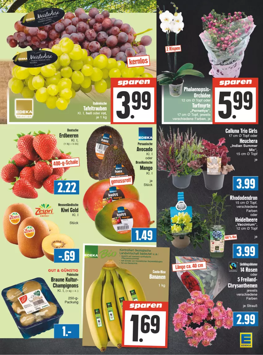 Aktueller Prospekt Edeka - Angebote der Woche - von 09.10 bis 14.10.2023 - strona 5 - produkty: ACC, avocado, banane, bananen, beere, beeren, bio, braun, champignon, champignons, cin, erdbeere, erdbeeren, kiwi, Kiwi Gold, kiwifruit, mango, rosen, Ti, topf, trauben