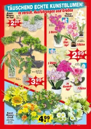 Gazetka promocyjna  - Prospekte - Gazetka - ważna od 15.08 do 15.08.2026 - strona 4 - produkty: blume, blumen, orchidee