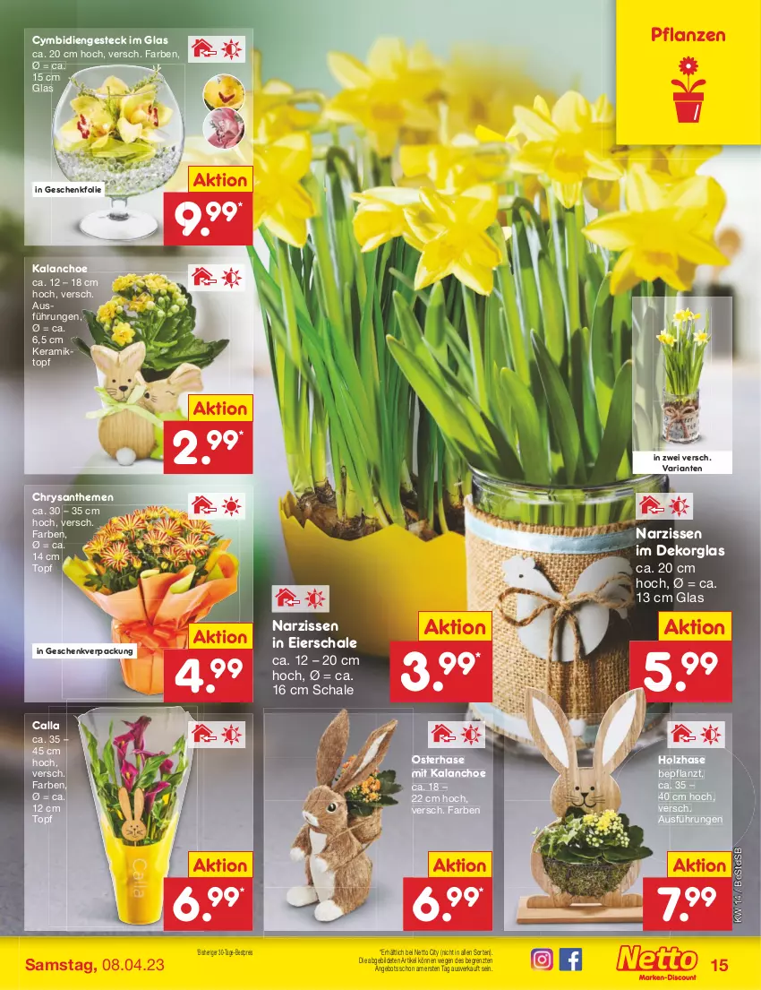 Aktueller Prospekt Netto Marken-Discount - Filial-Angebote - von 03.04 bis 08.04.2023 - strona 15 - produkty: angebot, bestpreis, chrysanthemen, eier, eis, Holz, Kalanchoe, Narzissen, pflanze, pflanzen, reis, Ria, Schal, Schale, Ti, topf, ZTE