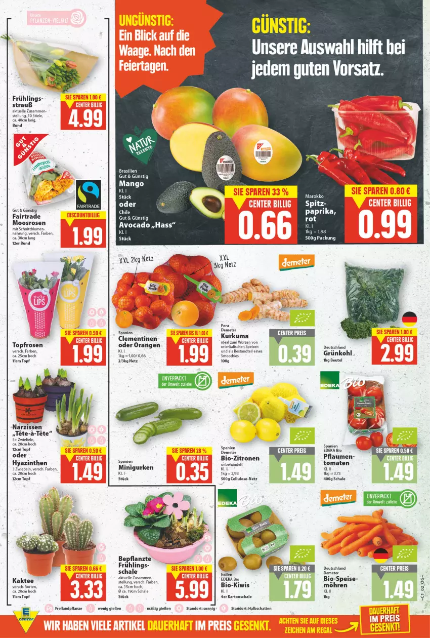 Aktueller Prospekt E Center - Angebote der Woche - von 03.01 bis 08.01.2022 - strona 2 - produkty: avocado, beutel, bio, bio-zitronen, blume, blumen, clementinen, deka, edeka bio, eis, elle, ente, gurke, gurken, Kaktee, kiwi, mango, möhren, Narzissen, orange, orangen, paprika, pflanze, pflaume, pflaumen, reis, rosen, Schal, Schale, smoothie, smoothies, tee, Ti, tomate, tomaten, topf, usb, zitrone, zitronen, ZTE, zwiebel, zwiebeln