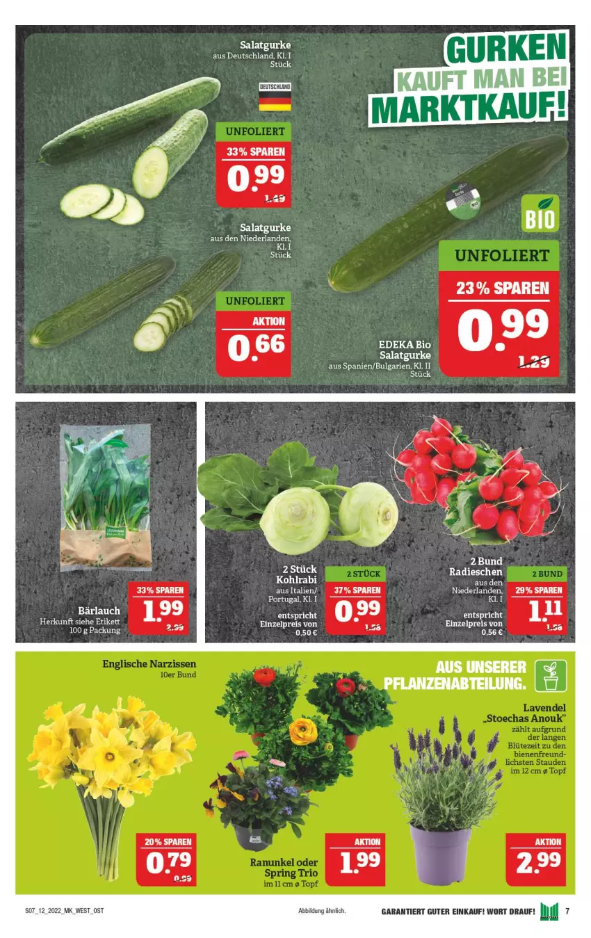 Aktueller Prospekt Marktkauf - Prospekt - von 20.03 bis 26.03.2022 - strona 7 - produkty: bio, deka, edeka bio, eis, gurke, kohlrabi, LG, radieschen, reis, salat, Salatgurke, Ti