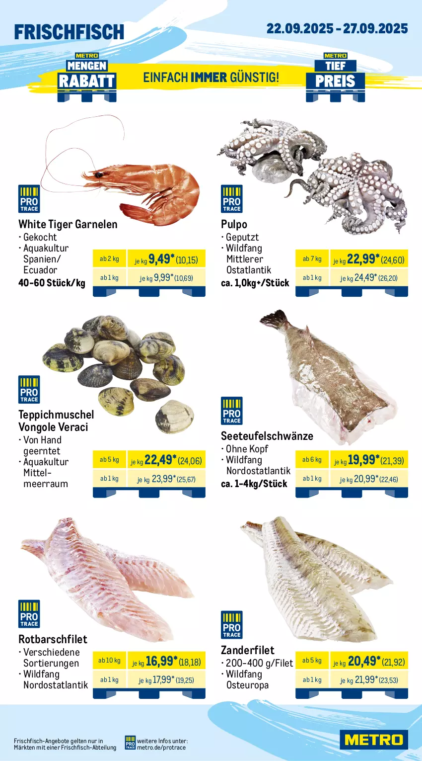 Aktueller Prospekt Metro - Wochen-Angebote - von 22.09 bis 27.09.2025 - strona 5 - produkty: Abtei, angebot, angebote, aqua, eis, filet, fisch, fleisch, frischfisch, garnelen, mais, Metro, reis, Rotbarsch, rotbarschfilet, teppich, Ti, tiefpreis, Wild, Zander