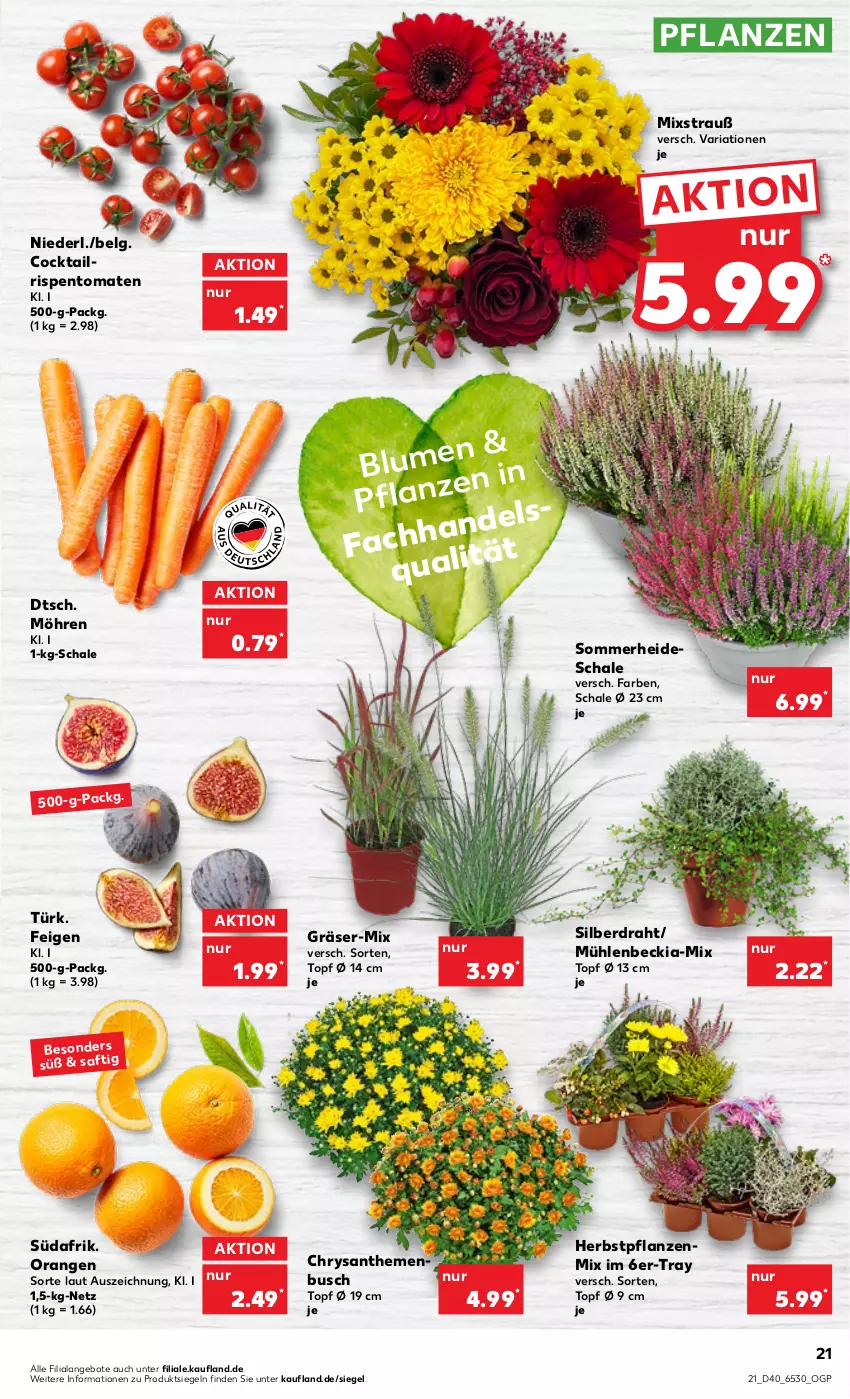 Aktueller Prospekt Kaufland - von 06.10 bis 12.10.2022 - strona 21 - produkty: angebot, angebote, blume, chrysanthemen, cocktail, Draht, Feigen, LG, möhren, orange, orangen, pflanze, pflanzen, Ria, rispentomaten, saft, Schal, Schale, Ti, tomate, tomaten, topf