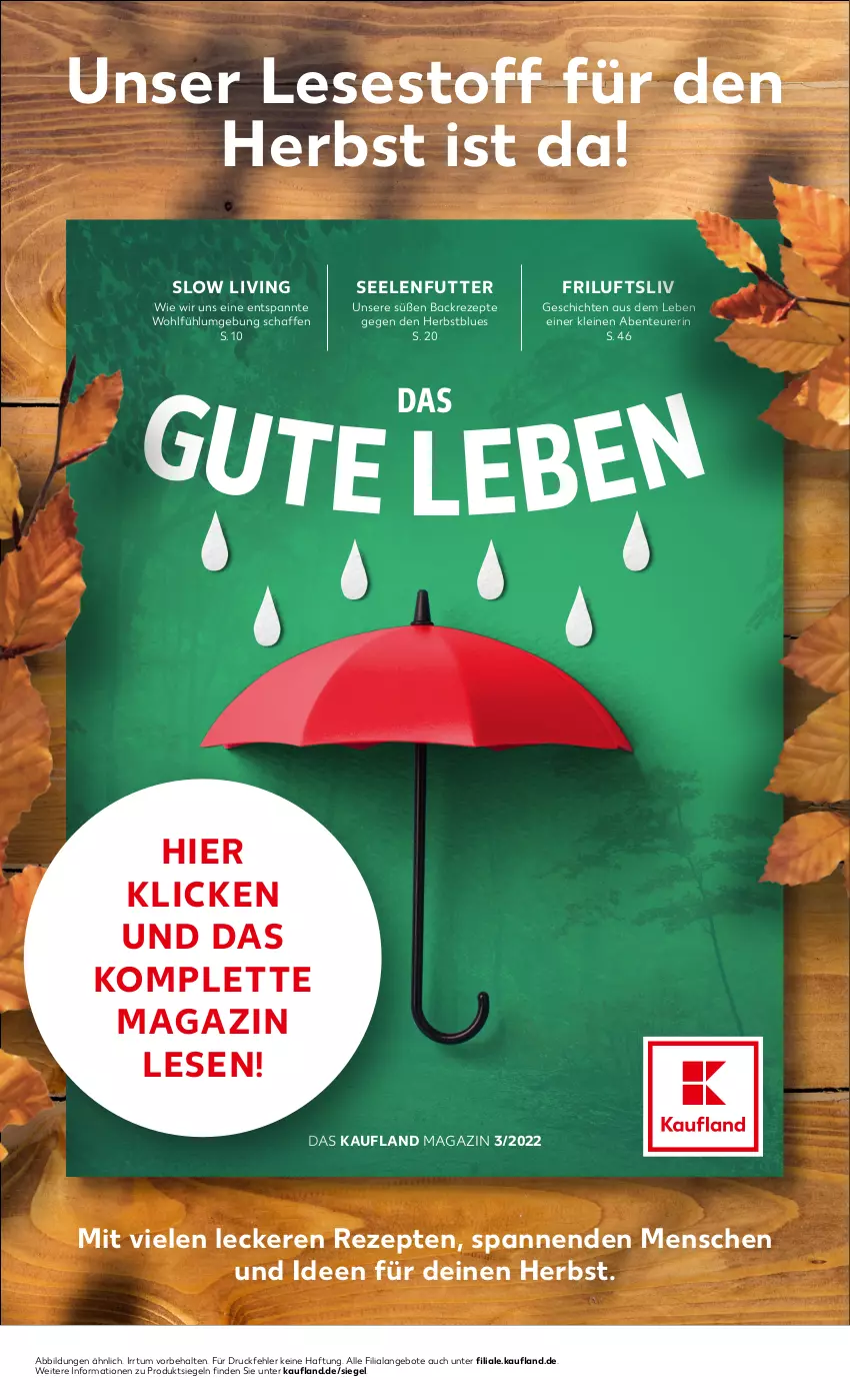 Aktueller Prospekt Kaufland - von 06.10 bis 12.10.2022 - strona 49 - produkty: angebot, angebote, ente, leine, magazin, rezept, rezepte, Ti