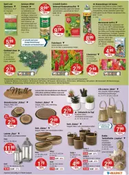 Gazetka promocyjna Vmarkt - Prospekte - Gazetka - ważna od 16.07 do 16.07.2025 - strona 15 - produkty: angebot, angebote, aust, Bad, beetpflanzen, bio, biozidprodukte, blume, blumen, blumenerde, dünger, eis, elle, ente, erde, fisch, fische, Holz, kerze, Kinder, korb, Kraut, kräuter, kräutern, Kunstharz, laterne, LG, löwenmaul, mac, natur, Ofen, orchidee, orchideen, pflanze, pflanzen, rasen, Rauch, rwe, sac, Sport, Stier, Sukkulente, tee, Teelicht, teelichthalter, Ti, Tiere, tisch, Tischset, topf, Untersetzer, vita