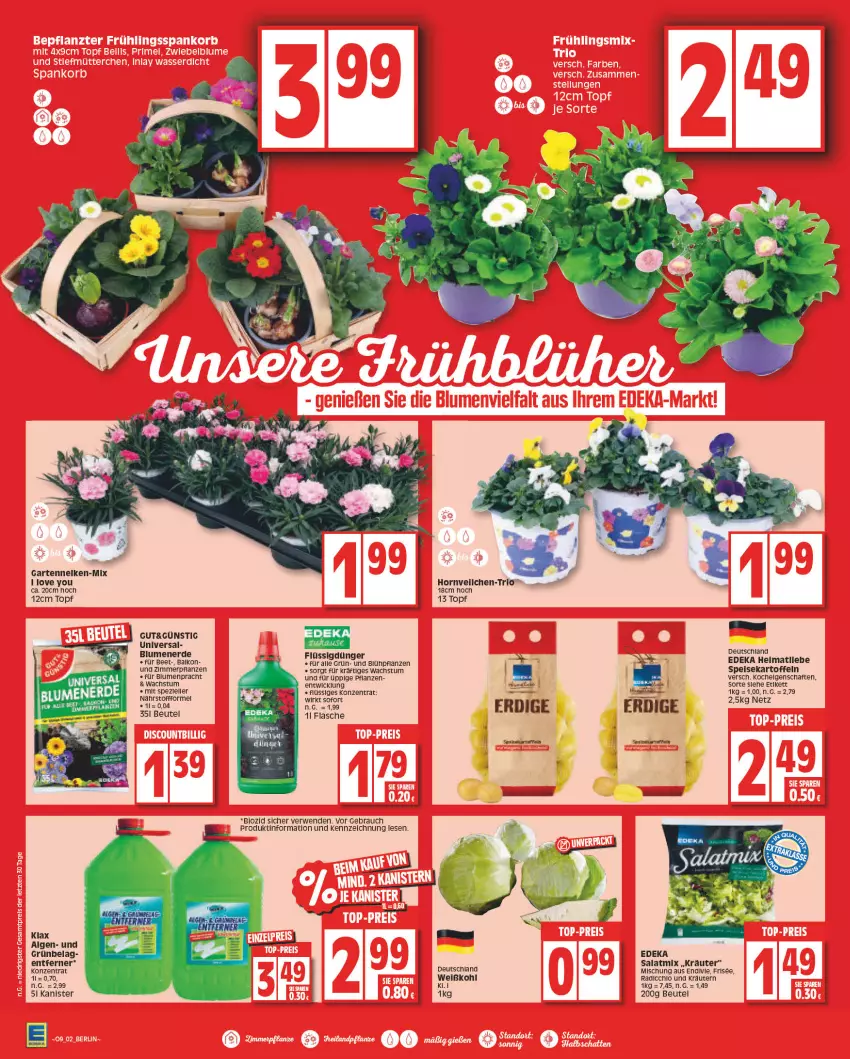 Aktueller Prospekt Edeka - Angebote der Woche - von 27.02 bis 04.03.2023 - strona 2 - produkty: beutel, blume, blumen, blumenerde, deka, dünger, eis, elle, erde, flasche, flüssigdünger, Garten, gartennelke, HP, kartoffel, kartoffeln, kräuter, kräutern, LG, pflanze, pflanzen, Rauch, rwe, salat, Salatmix, speisekartoffeln, Spezi, Ti, topf, Weißkohl, WICK, Yo