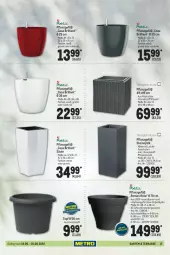 Gazetka promocyjna Metro - Garten und Terrasse - Gazetka - ważna od 01.06 do 01.06.2022 - strona 17 - produkty: eis, elle, Garten, pflanze, Ria, Rubin, teller, Ti, topf