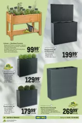 Gazetka promocyjna Metro - Garten und Terrasse - Gazetka - ważna od 01.06 do 01.06.2022 - strona 18 - produkty: blume, blumen, braun, eis, Garten, Holz, honig, kleid, kräuter, kräutern, obst, pflanze, pflanzen, reis, Ria, rückwand, Ti