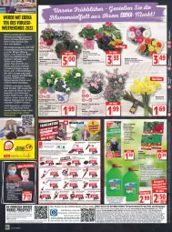 Gazetka promocyjna Edeka - Angebote der Woche - Gazetka - ważna od 19.03 do 19.03.2022 - strona 16 - produkty: akku, akku-bohrschrauber, Akku-Handkreissäge, akku-heckenschere, akku-rasenmäher, Akku-Winkelschleifer, angebot, angebote, bio, blume, blumen, blumenerde, Bohrschrauber, bügel, deka, eis, elle, ente, erde, Garten, geranie, geranien, Grasschere, Handkreissäge, heckenschere, Holz, Kette, ladegerät, leine, LG, Liege, medizinprodukt, Narzissen, ndk, papier, pflanze, pflanzen, pflaster, pril, Primeln, Radio, rasen, rasenmäher, rasentrimmer, Rauch, reis, reiss, rel, rwe, sac, säge, Schere, Spezi, stichsäge, telefon, teller, Ti, topf, uhr, Winkelschleifer, ZTE