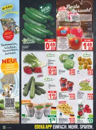 Gazetka promocyjna Edeka - Angebote der Woche - Gazetka - ważna od 19.03 do 19.03.2022 - strona 6 - produkty: apfel, basilikum, Bau, Becher, bio, deka, eimer, eis, eisbergsalat, elle, gewinnspiel, gurke, gurken, Heu, kartoffel, kartoffeln, kräuter, Lauchzwiebel, lauchzwiebeln, LG, mac, paprika, pflaume, pflaumen, Pink Lady, radieschen, saft, salat, Salatgurke, salatgurken, Schal, Schale, snack, snacks, speisekartoffeln, tafeläpfel, tafeltrauben, Ti, tisch, tomate, tomaten, topf, trauben, zucchini, zucker, zwiebel, zwiebeln