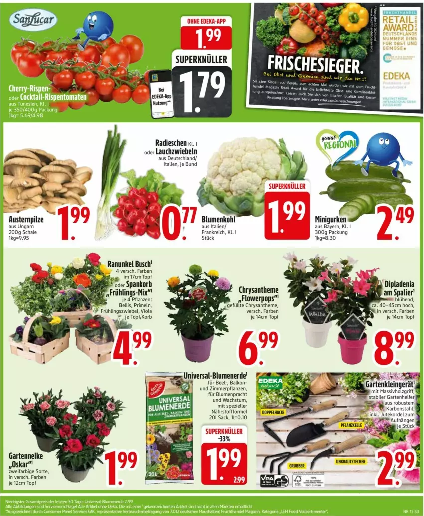 Aktueller Prospekt Edeka - Prospekte - von 24.03 bis 29.03.2025 - strona 5 - produkty: aust, Austern, blume, blumen, blumenerde, elle, erde, Garten, gartennelke, korb, Lauchzwiebel, lauchzwiebeln, pflanze, pflanzen, pilze, Primeln, radieschen, sac, Schal, Schale, Spezi, topf, zwiebel, zwiebeln