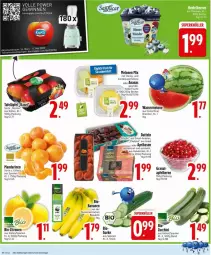 Gazetka promocyjna Edeka - Prospekte - Gazetka - ważna od 29.03 do 29.03.2025 - strona 4 - produkty: ananas, apfel, Apple, aprikose, aprikosen, banane, bananen, Becher, bio, bio-zitronen, Datteln, deka, frucht, grana, honig, mandarine, mandarinen, melone, melonen, Rana, tafeläpfel, Ti, usb, zitrone, zitronen