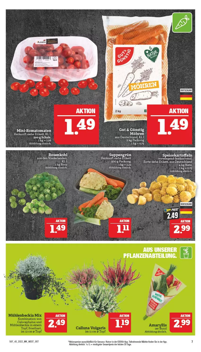 Aktueller Prospekt Marktkauf - Prospekt - von 23.10 bis 29.10.2022 - strona 7 - produkty: aktionspreis, deka, eis, kartoffel, kartoffeln, nuss, reis, Romatomaten, rosen, Rosenkohl, Schal, Schale, speisekartoffeln, suppe, suppen, Ti, tomate, tomaten, ZTE