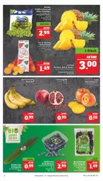 Gazetka promocyjna Marktkauf - Prospekt - Gazetka - ważna od 29.10 do 29.10.2022 - strona 6 - produkty: ananas, apfel, banane, bananen, beere, beeren, bio, deka, edeka bio, eis, feldsalat, früchte, grana, granatapfel, gurke, heidelbeere, heidelbeeren, Kaki, Rana, reis, salat, Salatgurke, Schal, Schale, tafeltrauben, Ti, trauben, ZTE