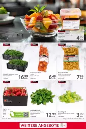 Gazetka promocyjna Selgros - Gastronomie - Gazetka - ważna od 02.10 do 02.10.2024 - strona 19 - produkty: ananas, apfel, beutel, eimer, eis, Gemüsezwiebel, kartoffel, kräuter, LG, mango, melone, obst, orange, paprika, paprika rot, petersilie, reifen, reis, rum, sac, salat, schnitten, Ti, zwiebel, zwiebeln