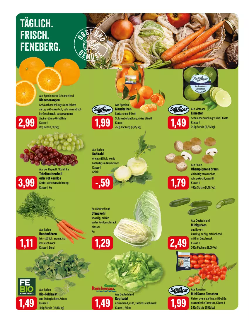 Aktueller Prospekt Feneberg - Prospekte - von 22.02 bis 24.02.2024 - strona 6 - produkty: Bau, bio, braun, Bundmöhren, champignon, champignons, champignons braun, feldsalat, grill, gurke, gurken, kohlrabi, kopfsalat, leine, LG, limette, limetten, mac, mandarine, mandarinen, Mett, metten, möhren, orange, orangen, rwe, saft, salat, Schal, Schale, tafeltrauben, Ti, tisch, tomate, tomaten, trauben, zucker