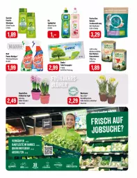 Gazetka promocyjna Feneberg - Prospekte - Gazetka - ważna od 24.02 do 24.02.2024 - strona 15 - produkty: beutel, bio, Bref, bref power, elle, flasche, fructis, garnier, katzenfutter, Narzissen, natur, papier, purina, Rauch, reiniger, rwe, shampoo, sprühflasche, spülmittel, Ti, toilettenpapier, topf, Trockennahrung