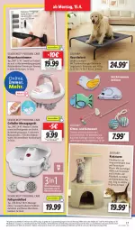 Gazetka promocyjna Lidl - Aktionsprospekt - Gazetka - ważna od 20.04 do 20.04.2024 - strona 21 - produkty: akku, angebot, Anhänger, aust, Bad, ball, bett, bürste, coupon, deka, eis, Fußsprudelbad, kissen, Körperhaartrimmer, ladekabel, leine, Liege, Massagegerät, minze, Persona, Plüsch, Reinigung, reinigungsbürste, reis, silvercrest, spielzeug, Sprudel, Sprudelbad, Stier, Ti, Tiere, usb, wasser, ZTE