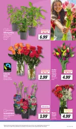 Gazetka promocyjna Lidl - Aktionsprospekt - Gazetka - ważna od 20.04 do 20.04.2024 - strona 9 - produkty: angebot, Blüte, eis, Garten, paprika, peperoni, Peroni, pflanze, pflanzen, reis, rosen, Ti, tomate, topf, ZTE