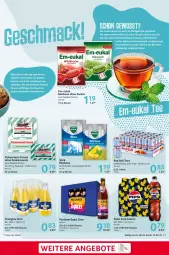 Gazetka promocyjna Selgros - Food - Gazetka - ważna od 12.02 do 12.02.2025 - strona 7 - produkty: angebot, angebote, beutel, bonbons, eis, flasche, gin, kirsch, kirsche, mint, mw-flasche, orangina, Paula, paulaner, pepsi, red bull, reis, Spezi, Ti, Wild, zucker
