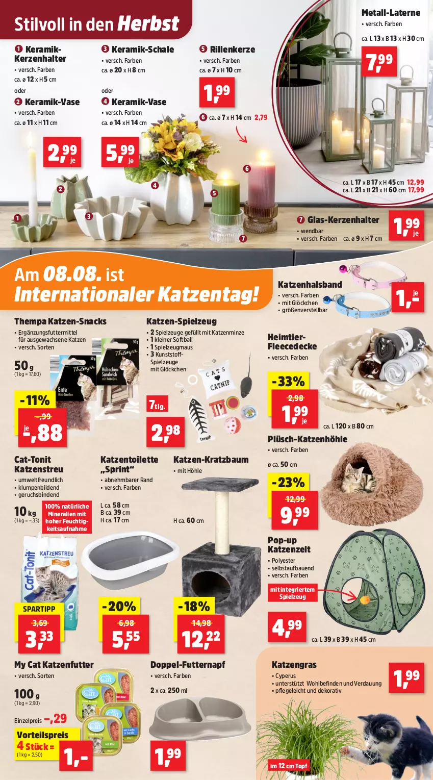 Aktueller Prospekt Thomas Philipps - von 04.08 bis 09.08.2025 - strona 5 - produkty: ball, Bau, binden, decke, eis, fleecedecke, katzenfutter, Katzenstreu, kerze, Kerzenhalter, Kratzbaum, laterne, leine, LG, Maus, minze, Plüsch, reis, Schal, Schale, snack, snacks, spartipp, spielzeug, Ti, topf, Vase, vorteilspreis, Zelt