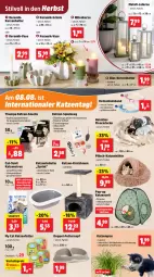 Gazetka promocyjna Thomas Philipps - Gazetka - ważna od 09.08 do 09.08.2025 - strona 5 - produkty: ball, Bau, binden, decke, eis, fleecedecke, katzenfutter, Katzenstreu, kerze, Kerzenhalter, Kratzbaum, laterne, leine, LG, Maus, minze, Plüsch, reis, Schal, Schale, snack, snacks, spartipp, spielzeug, Ti, topf, Vase, vorteilspreis, Zelt