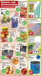 Gazetka promocyjna Thomas Philipps - Prospektwerbung - Gazetka - ważna od 26.02 do 26.02.2022 - strona 4 - produkty: Beetumrandung, Begonie, Behälter, blume, blumen, braun, chia, dahlie, eis, elle, Garten, Gladiolen, grüner jan, knoblauch, mam, Mantel, Pinot, Reinigung, Schal, Schalotte, Speisezwiebeln, tee, Ti, zwiebel, zwiebeln