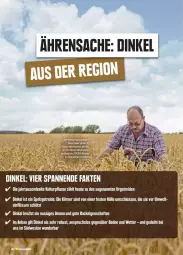 Gazetka promocyjna Edeka - Prospekte - Gazetka - ważna od 11.05 do 11.05.2024 - strona 12 - produkty: Bau, Heu, nuss, pflanze, südwest, Weste