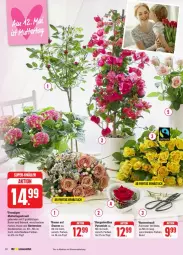 Gazetka promocyjna Edeka - Prospekte - Gazetka - ważna od 11.05 do 11.05.2024 - strona 18 - produkty: Abtei, blume, blumen, hortensie, hortensien, lebensmittel, rosen, Rosenstrauß, Ti, topf