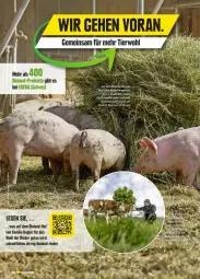 Gazetka promocyjna Edeka - Prospekte - Gazetka - ważna od 11.05 do 11.05.2024 - strona 24 - produkty: Bad, bio, bioland, deka, rind, rinder, südwest, Ti