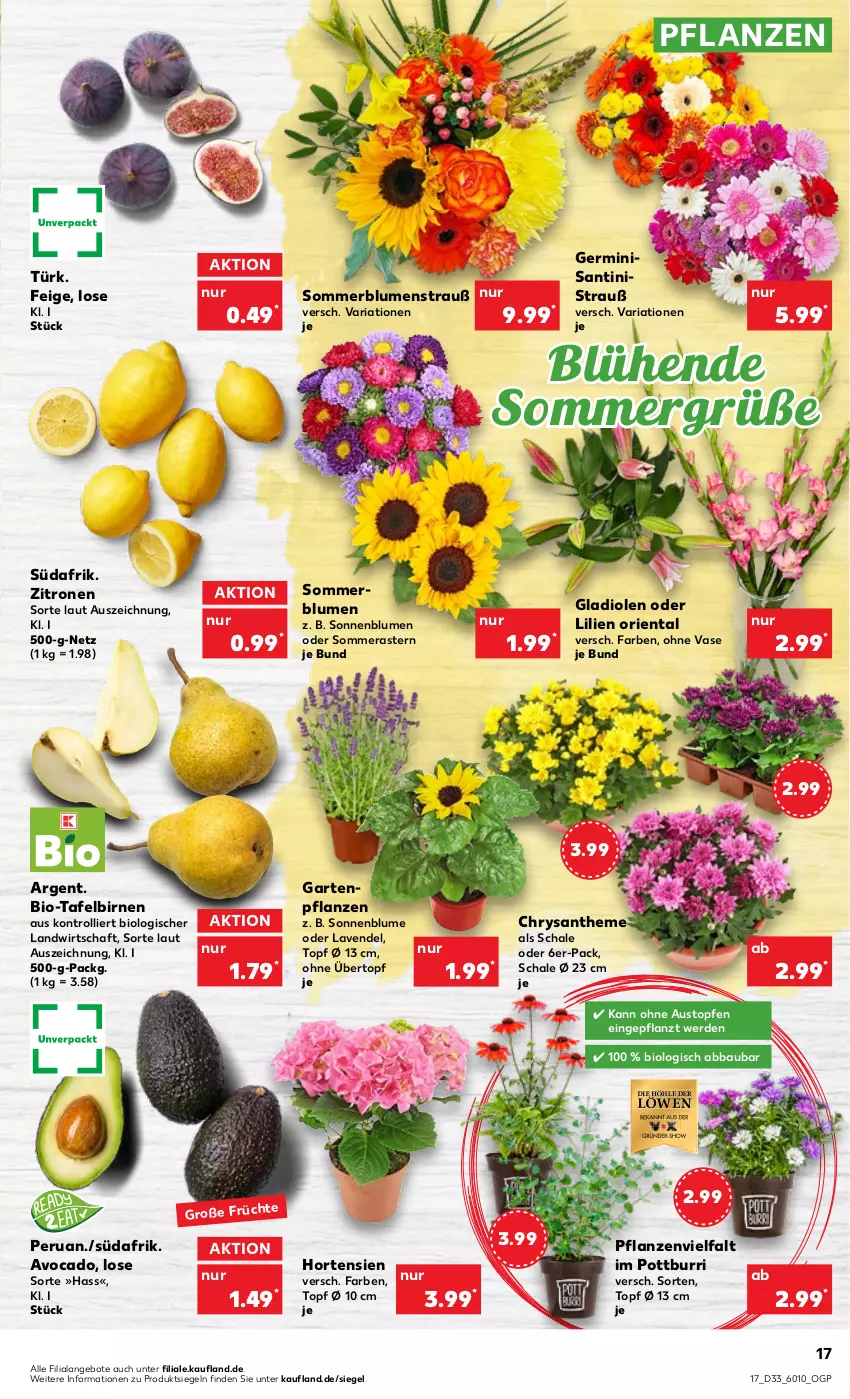 Aktueller Prospekt Kaufland - von 18.08 bis 24.08.2022 - strona 17 - produkty: Abba, angebot, angebote, aust, avocado, Bau, bio, Birnen, blume, blumen, erde, Garten, Germ, Gladiolen, hortensie, hortensien, lavendel, pflanze, pflanzen, Ria, Schal, Schale, sonnenblume, sonnenblumen, tafelbirnen, Ti, topf, Topfen, trolli, übertopf, Vase, zitrone, zitronen