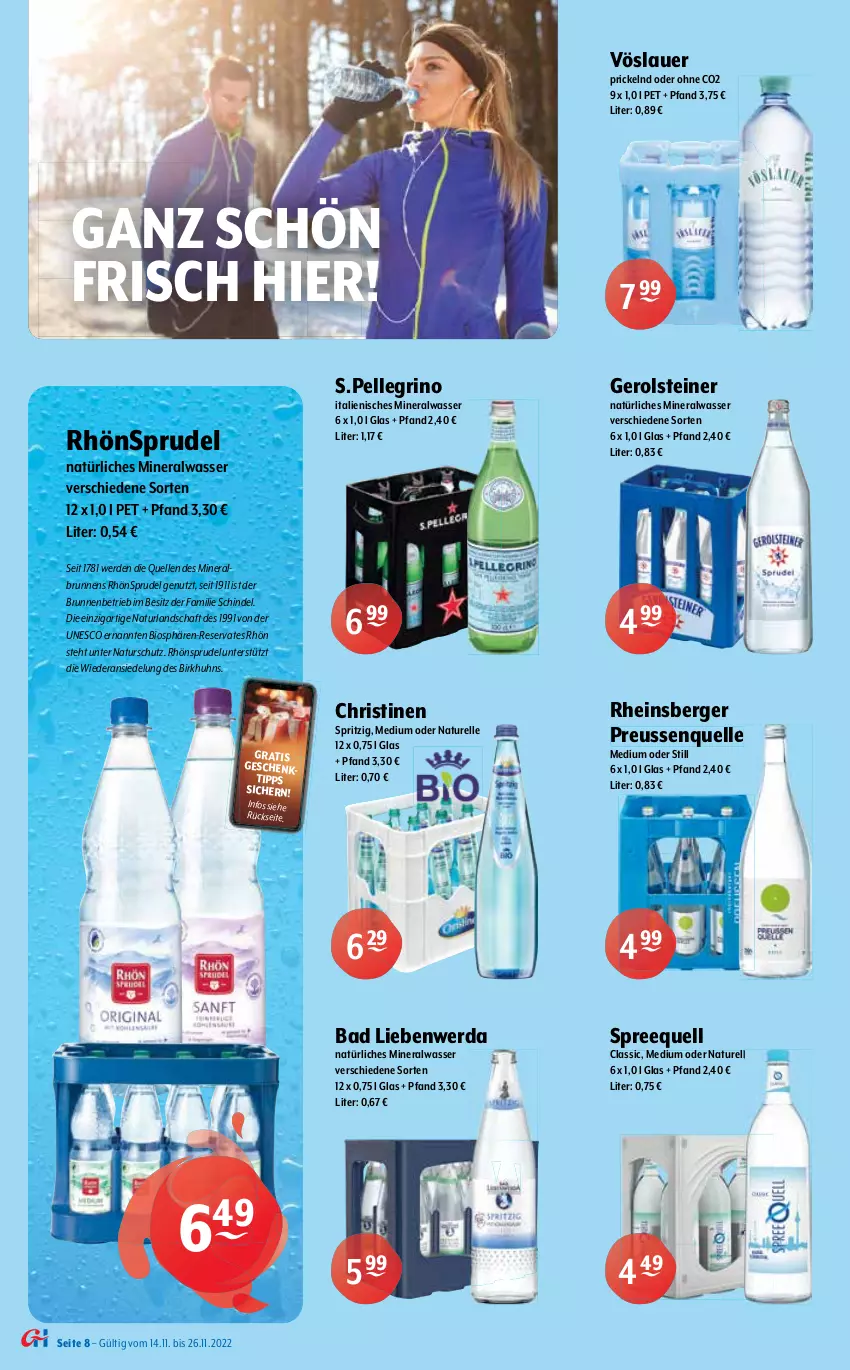 Aktueller Prospekt Getraenke Hoffmann - Prospekte - von 14.11 bis 26.11.2022 - strona 8 - produkty: Alwa, auer, Bad, Bad Liebenwerda, Berger, bier, bio, brunnen, elle, erde, erdinger, Faktu, gerolsteine, gerolsteiner, hasseröder, mineralwasser, natur, naturland, natürliches mineralwasser, pils, premium pils, radler, rel, Rheinsberger Preussenquelle, RhönSprudel, Spreequell, Sprudel, steiner, Ti, vöslauer, wasser