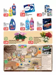 Gazetka promocyjna Feneberg - Prospekte - Gazetka - ważna od 09.09 do 09.09.2023 - strona 14 - produkty: Alpenveilchen, auto, Bergkäse, Blüte, chrysanthemen, Coral, deka, eis, elle, emmentaler, erde, feinwaschmittel, felix, flasche, Heu, heumilch, Jubiläums, kaes, Käse, katzenmilch, LG, milch, Ofen, papier, pril, reis, schwein, schweine, Spezi, spülmittel, Tasche, taschen, taschentücher, Ti, tomate, tomaten, topf, Trockennahrung, tücher, uhr, vernel, waschmittel, weichspüler, wein, weine, ZTE